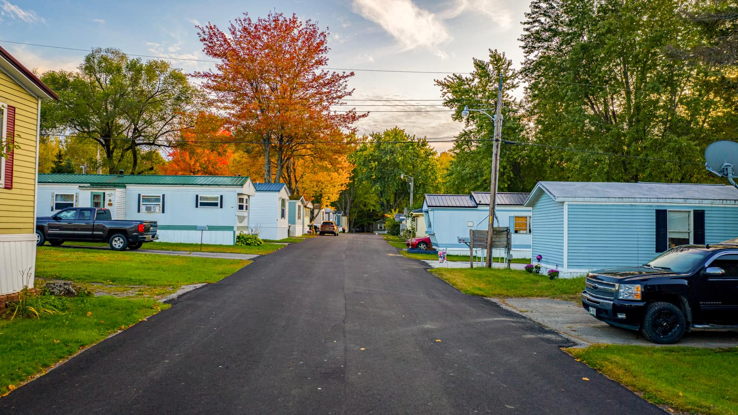 Community street framed by a bright red maple